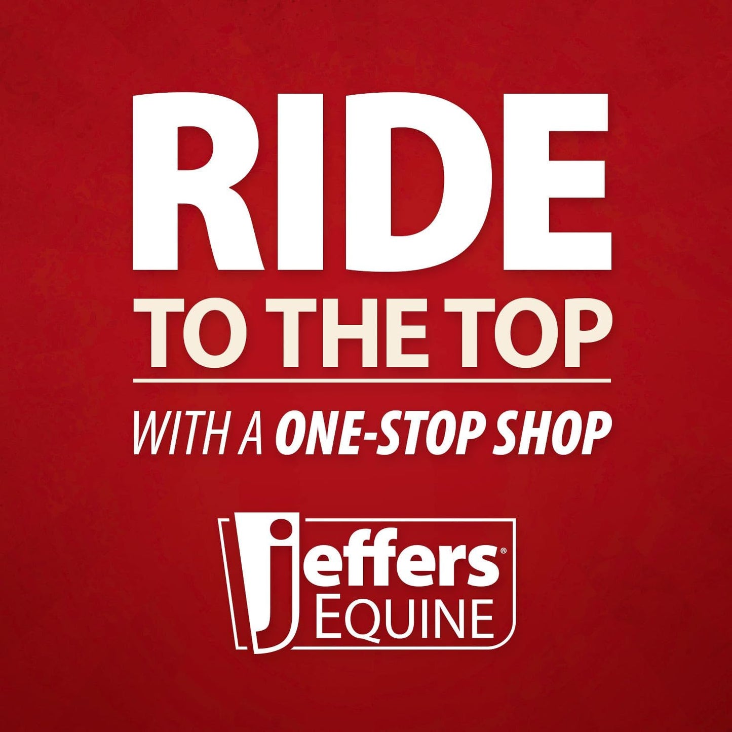 Jeffers Equine Mini Horse Halter – 3/4" Nylon Adjustable Halter for Miniature Horses, Ponies, Under 300 lbs – Heavy Duty Hardware, Secure Fit for Training, Turnout, Grooming, Travel – Black