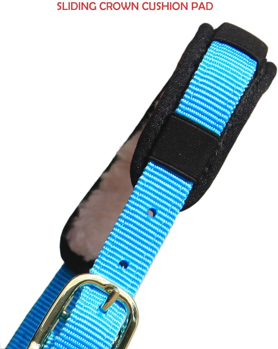 T TEKE Lunge Cavesson with Fleece Lined Nose Band and Crown