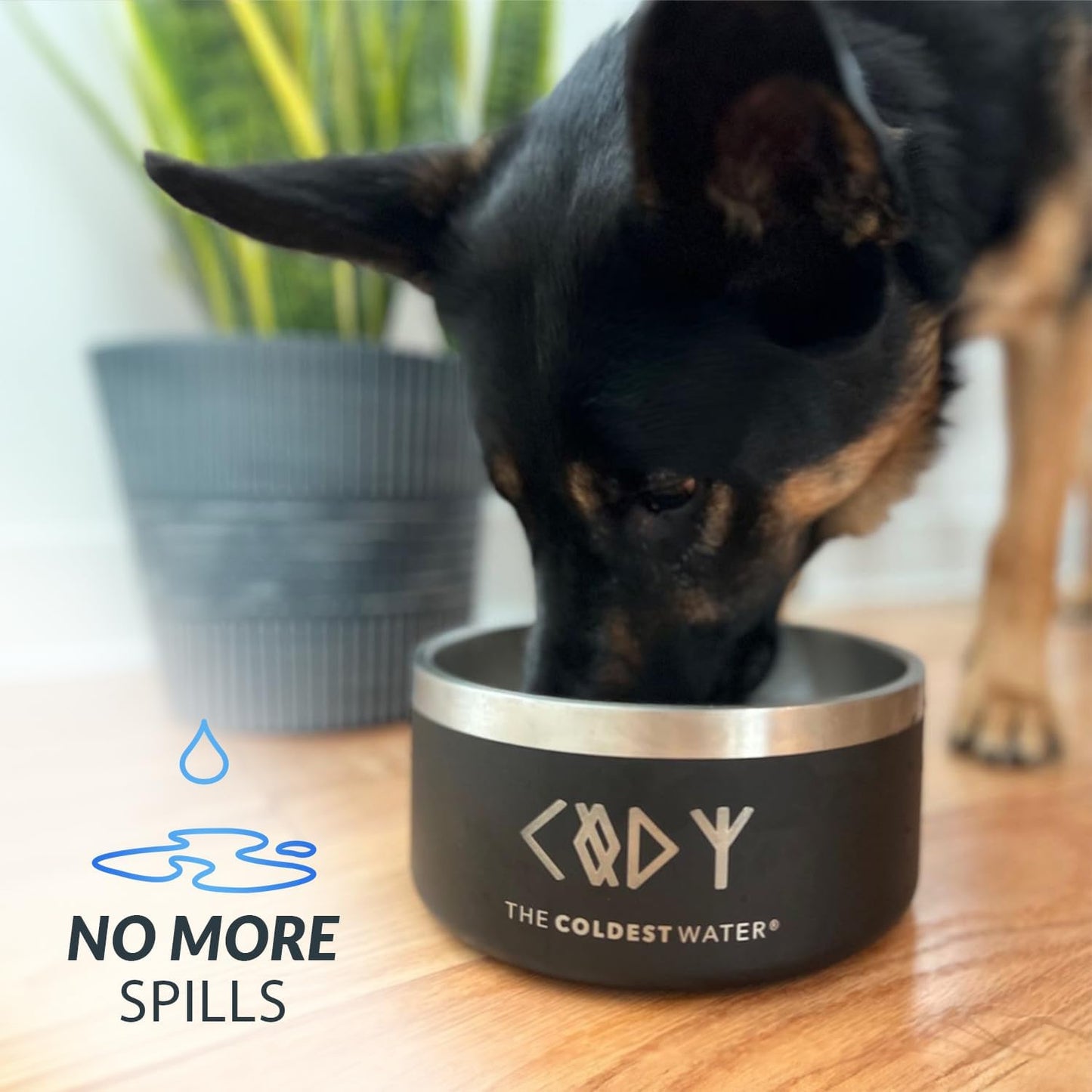 Coldest Dog Bowl - Anti Rust Metal, Non Slip, 3 Layers Insulated Stainless Steel Dog Bowls - Spill Proof & Heavy Duty - Water Bowl for Dogs, Cats & Pets, Dish Washer Safe (64 oz, Solar Yellow)