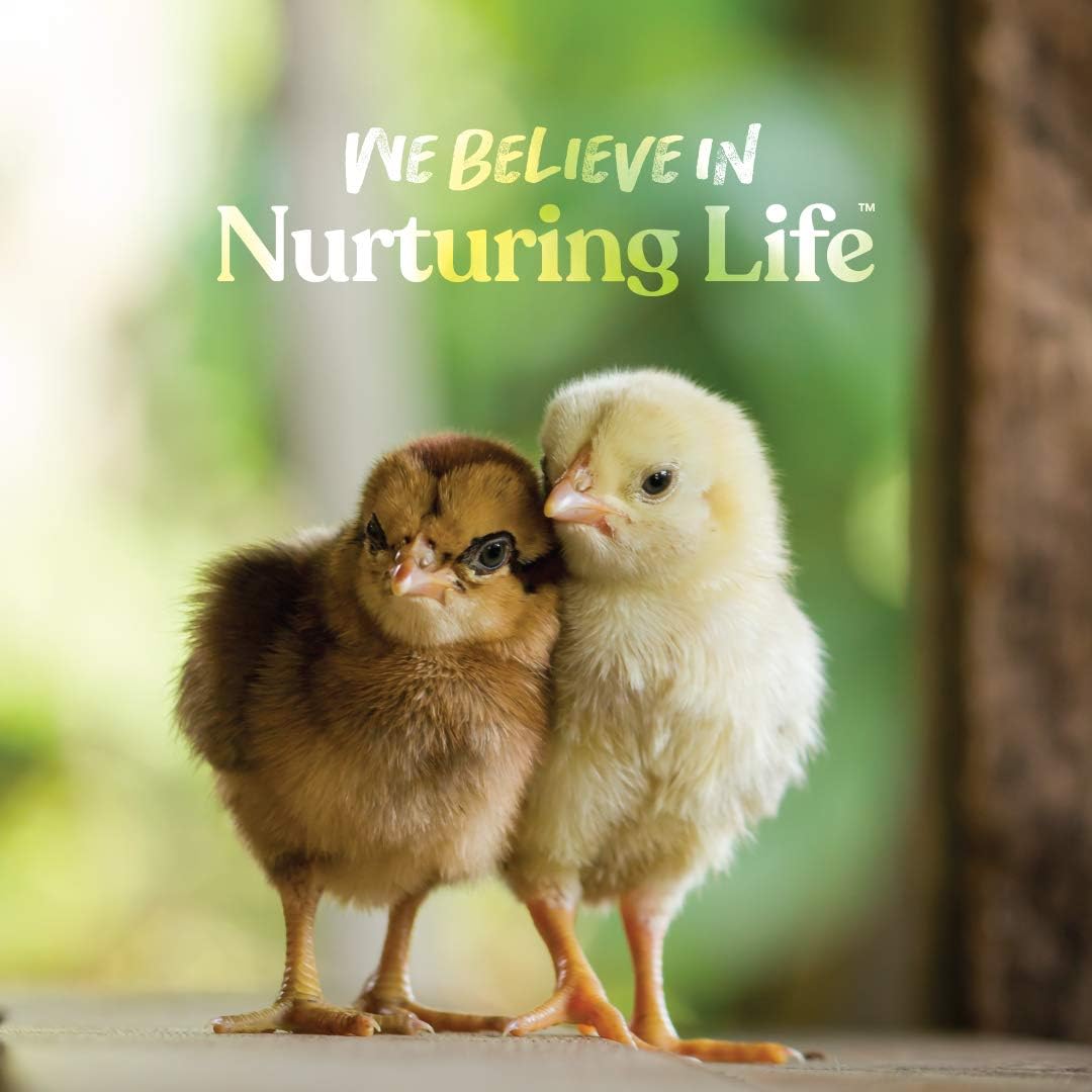 Manna Pro Chick Grit, Digestive Supplement for Young Poultry and Bantam Breed, Probiotics to Support Digestion, No Artificial Ingredients or Preservatives, Insoluble Crushed Granite, 25 lbs