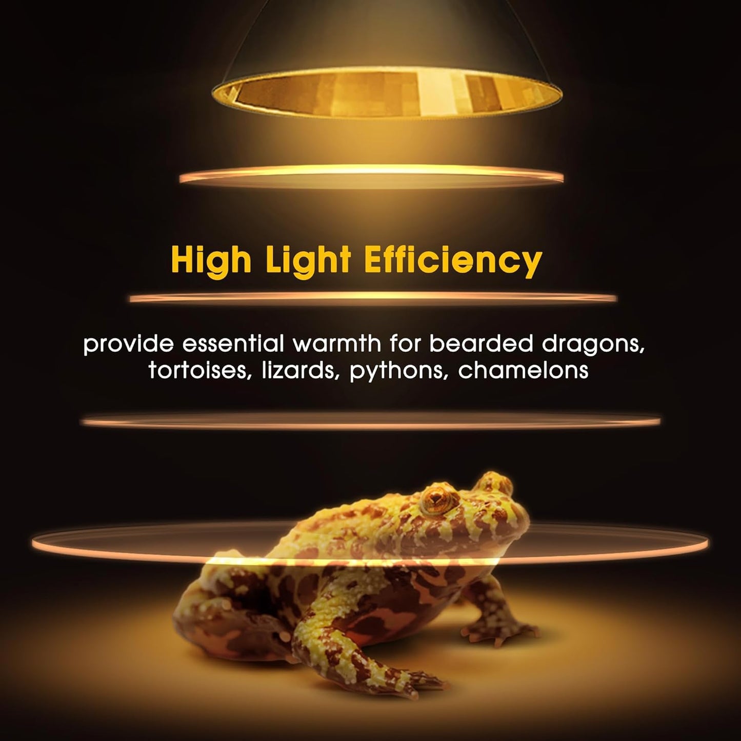 Reptile Heat Lamp 50W G9 Halogen Heat Bulb & Dome Reptile Light Fixture, Aluminum Reflector, UVA Basking Light for Reptiles, Dimmable Heat Lamp for Chicken Turtle Snake Gecko Lizard