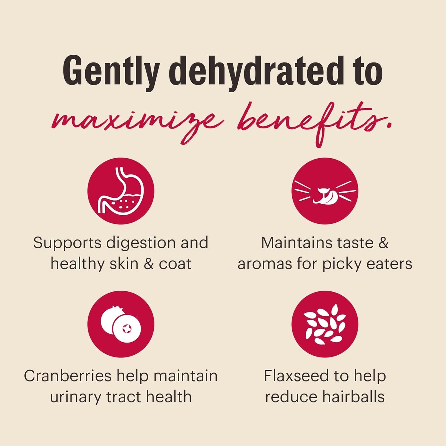 The Honest Kitchen Dehydrated Grain Free Chicken Cat Food, 2 lb Box