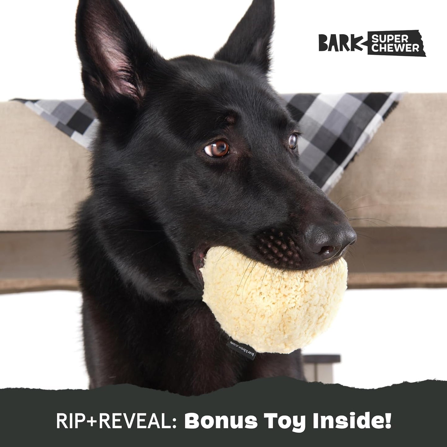 Barkbox Potato 2-in-1 Dog Toy - Tough Plush Squeaky Chew Toy for Large Dogs | Large