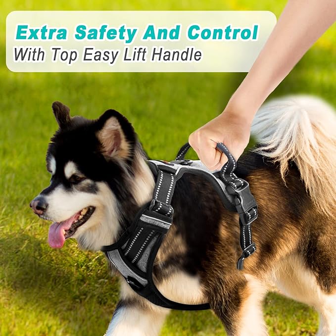 BARKBAY No Pull Dog Harness Large Step in Reflective Dog Harness with Front Clip and Easy Control Handle for Walking Training Running(Flint Gray,L)