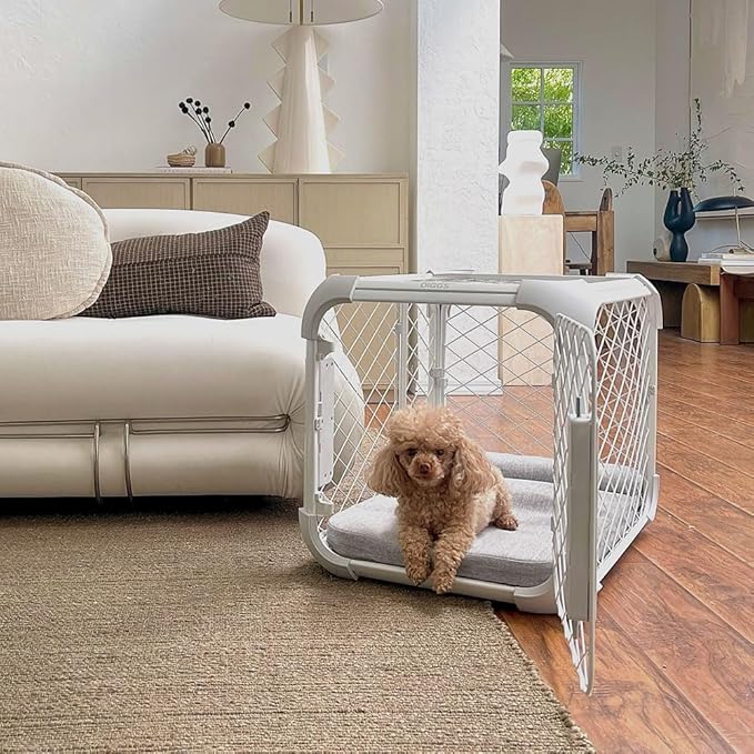 DIGGS Evolv Dog Crate - Slim, Durable Dog Kennel with Removable Ceiling Panel and Modular Design - Safe, Stylish, and Convenient (Ash, Intermediate)