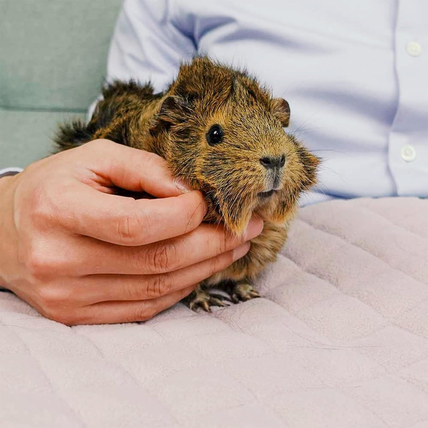 GuineaDad Premium Liner – Fleece Guinea Pig Cage Liner – Ultra-Plush Reusable Fleece Bedding with Waterproof Bottom – Extra Absorbent Liner for 2x2 C&C (Blush)