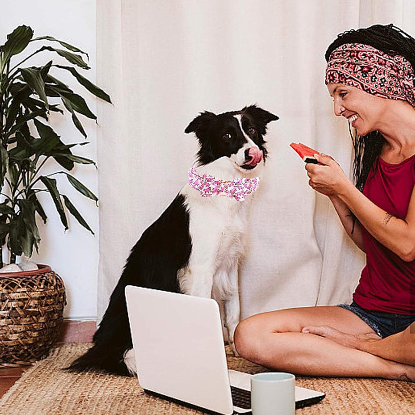 Elegant little tail Dog Collar, Watermelon Print Pet Collar Summer Dog Collar Durable Metal Buckle Dog Collars Cotton Pet Adjustable Dog Collars for Large Dogs