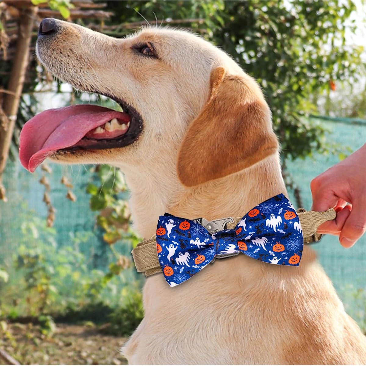PET SHOW 10pcs Halloween Large Dog Bow Ties for Medium Big Detachable Dogs Bowties with Elastic Bands Attach to Collar Pet Grooming Collar Attachment Accessories