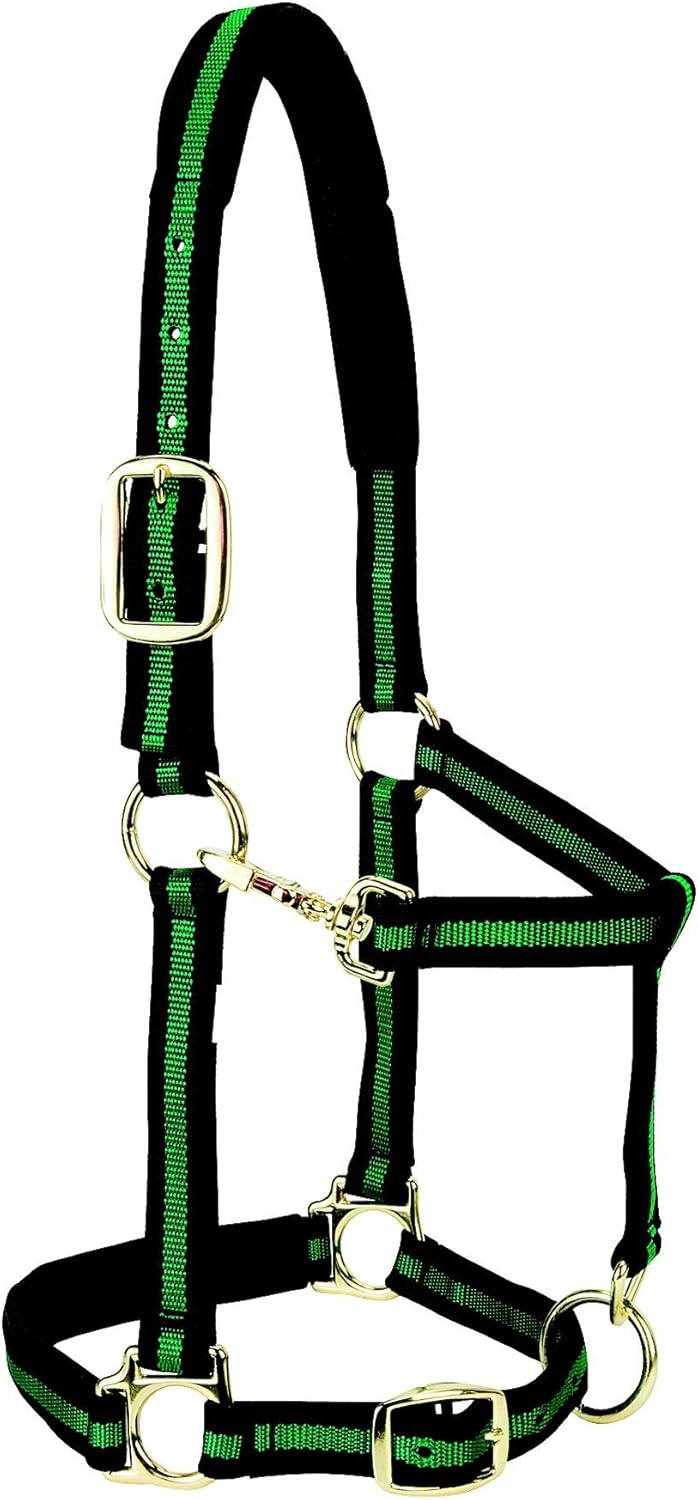 Weaver Leather Nylon Horse Halter, Padded and Adjustable, Chin and Throat Snap Hook Halters for Horses, Brass Plated Halters for Training
