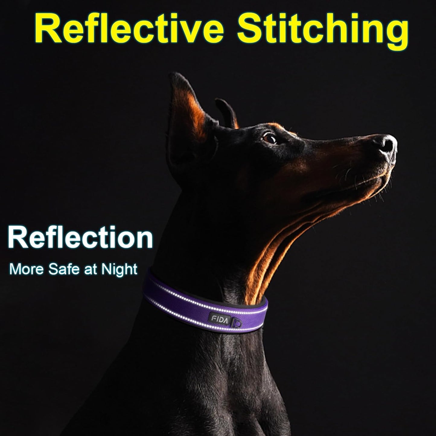 Fida Heavy Duty Dog Collar, Ultra Comfortable Soft Neoprene Padded, Adjustable Reflective Nylon Pet Collar with Durable Metal Belt Buckle for Small Breeds (S, Purple)