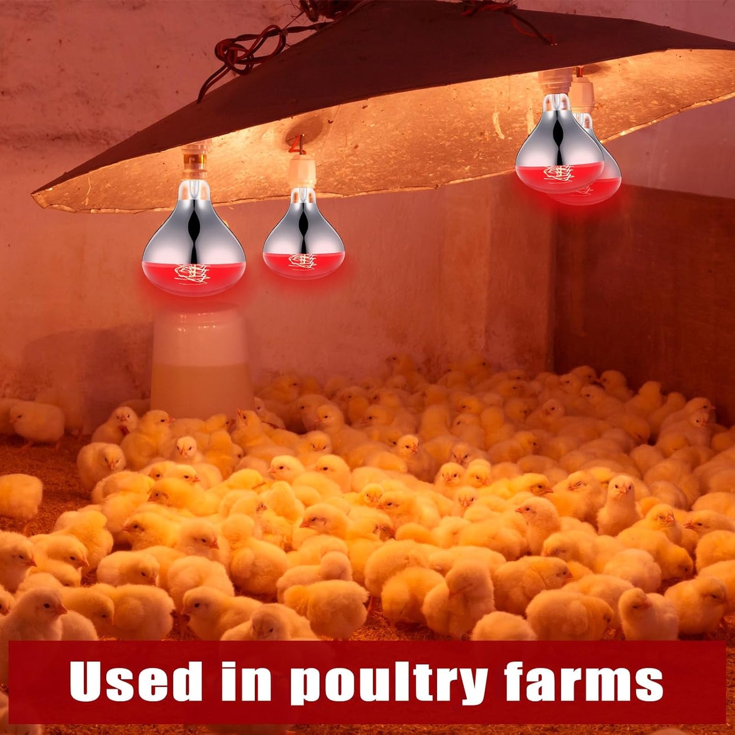 VIHOSE 6 Pack 250 Watt Heat Lamp 120v R40 Heat Lamp Bulbs Glass Incandescent Light Bulbs Incandescent Heating Lightbulbs for Reptiles Chicks Food Puppies Bathroom, Use E26 Base (Silver,Red)