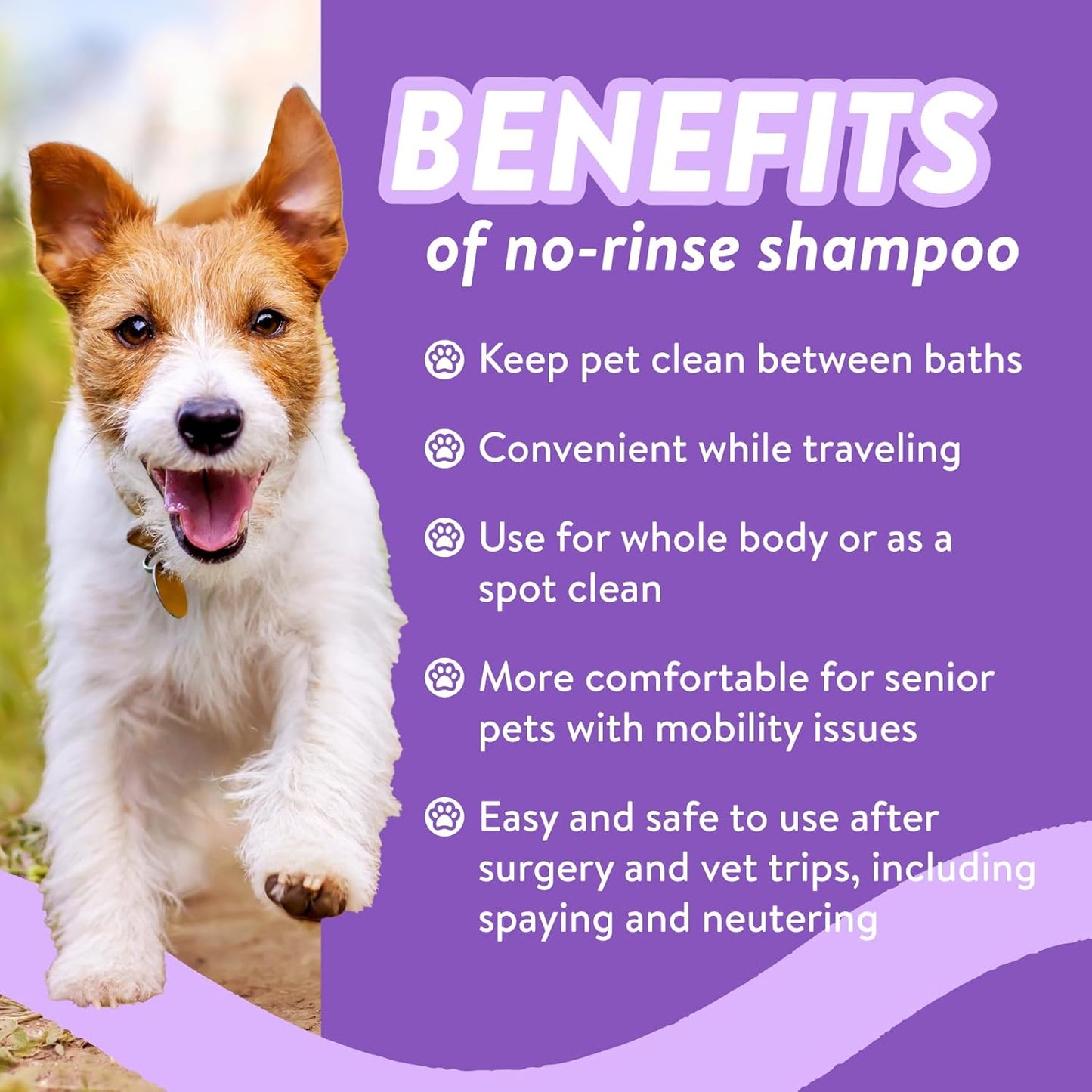 Bodhi Dog Waterless Shampoo - Natural Dry Shampoo for Dogs & Cats - Neutralizes Pet Odor - No Rinse Required - Made of Natural Extracts - Safe for Sensitive Skin - Made in USA - Lavender (8 Fl Oz)