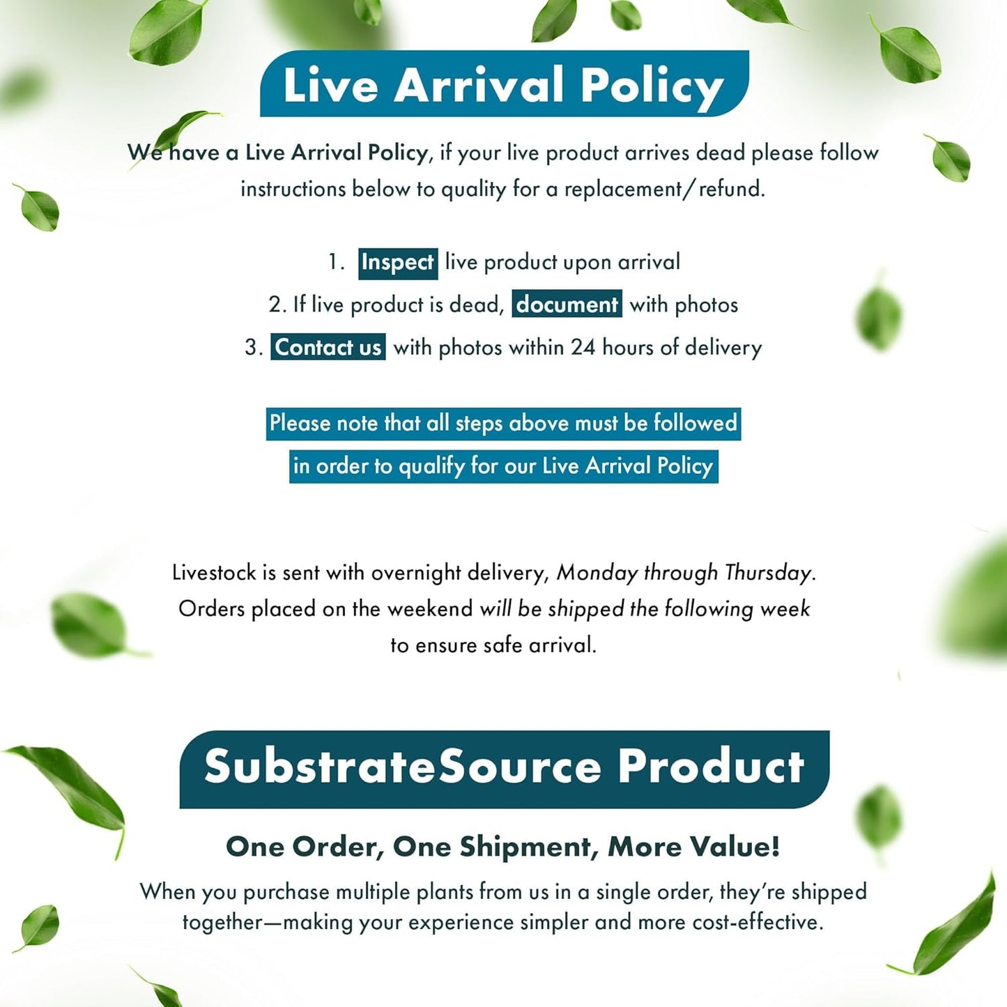 SubstrateSource Live Plant - Tall Grass, Corkscrew Vallisneria (Vallisneria Americana 'Contortionist') - Moderate to High Light, Bright Green, Background - Lead Bunch, 4 Pack