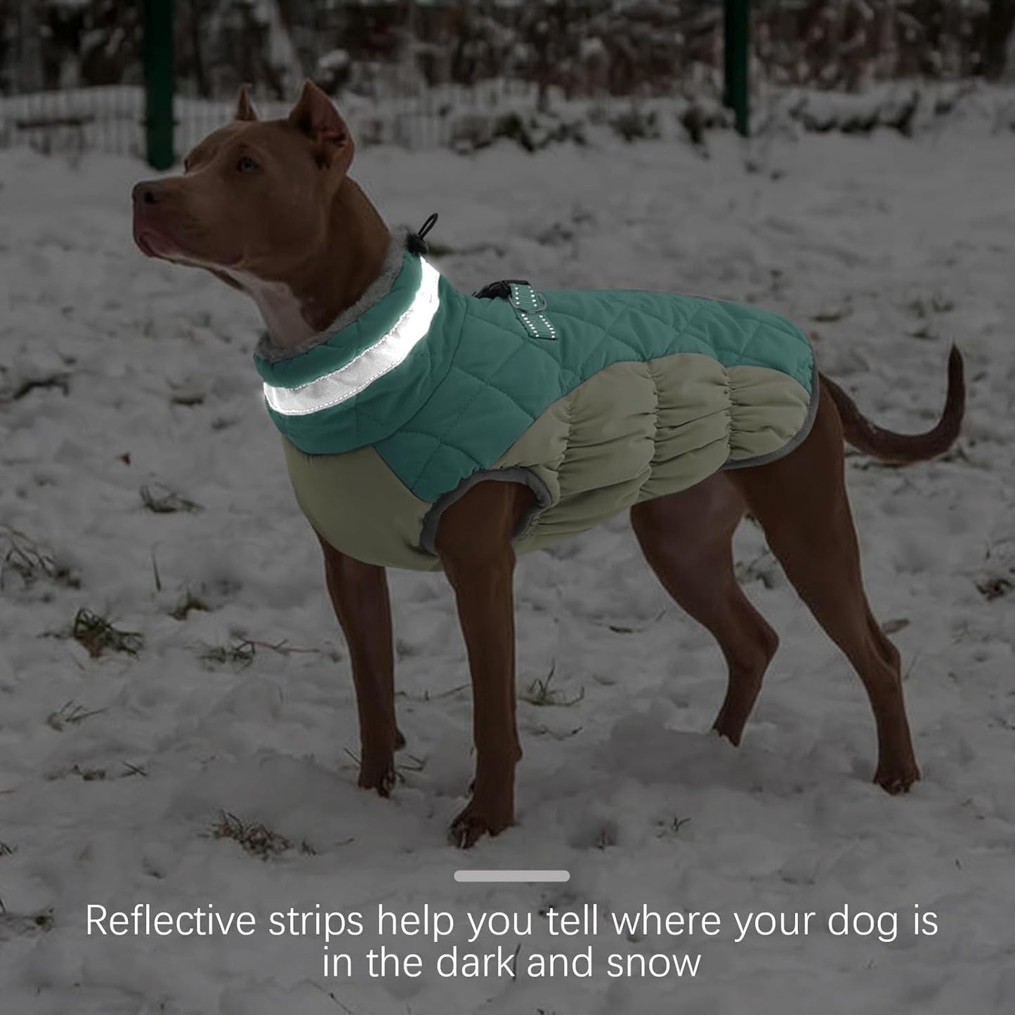 FUAMEY Dog Coat for Large Dogs,Waterproof Dog Winter Jacket with Harness Built in Puppy Cold Weather Coats Reflective Pet Vest with Zipper Warm Fleece Dogs Snowsuit Windproof Mint Green XXXL