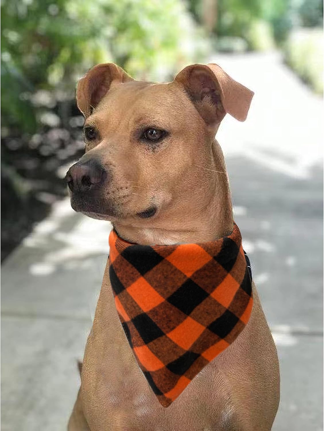 Realeaf Fall Halloween Dog Bandanas 2 Pack, Orange Plaid Pet Scarf for Boy and Girl, Premium Durable Fabric, Holiday Thanksgiving Bandana for Large and Extra Large Dogs (X-Large)