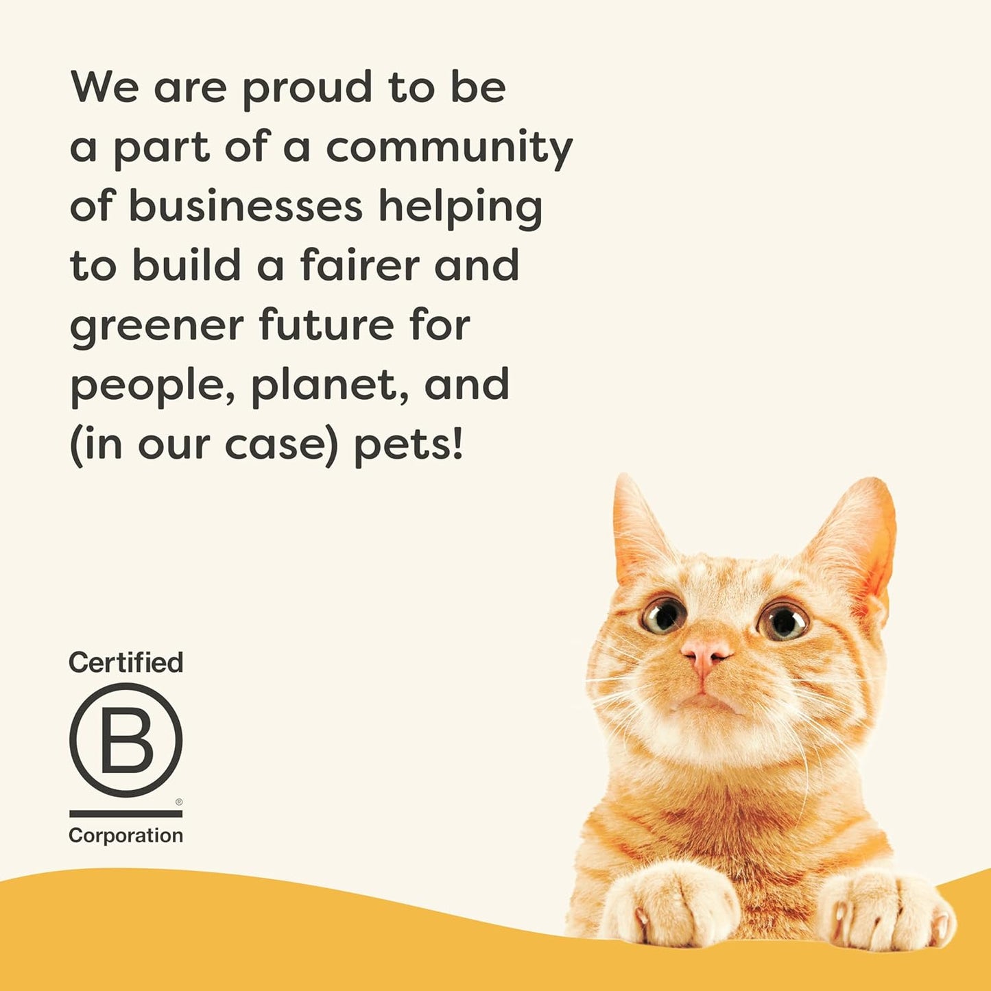 Applaws Vitality Wet Cat Food in Broth, Natural Canned Cat Food, Wet Food for Cats with Added Vitamins and Minerals, Grain Free, Carrageenan Free, Chicken Breast in Broth (24 Count, 5.5oz Cans)