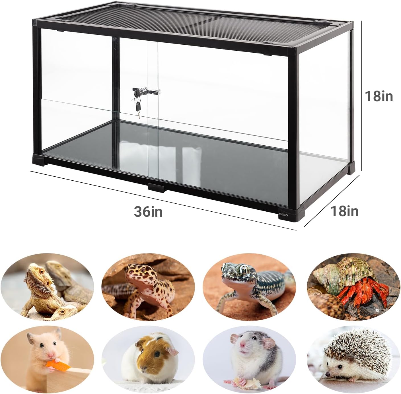 OiiBO 50 Gallon Glass Reptile Terrarium 36" x 18" x 18", 2 in 1 Reptile Habitat Terrarium with Front Sliding Doors Screen Ventilation for Lizard Gecko Tortoise