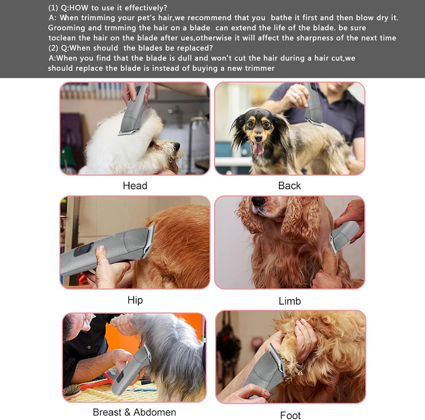 2PC 10 Blade Dog Grooming Clipper Replacement Blades Compatible with Andis Dog Clippers,Detachable Ceramic Blade & Stainless Steel Blade,Size-10, 1/16-Inch Cut Length (64315)