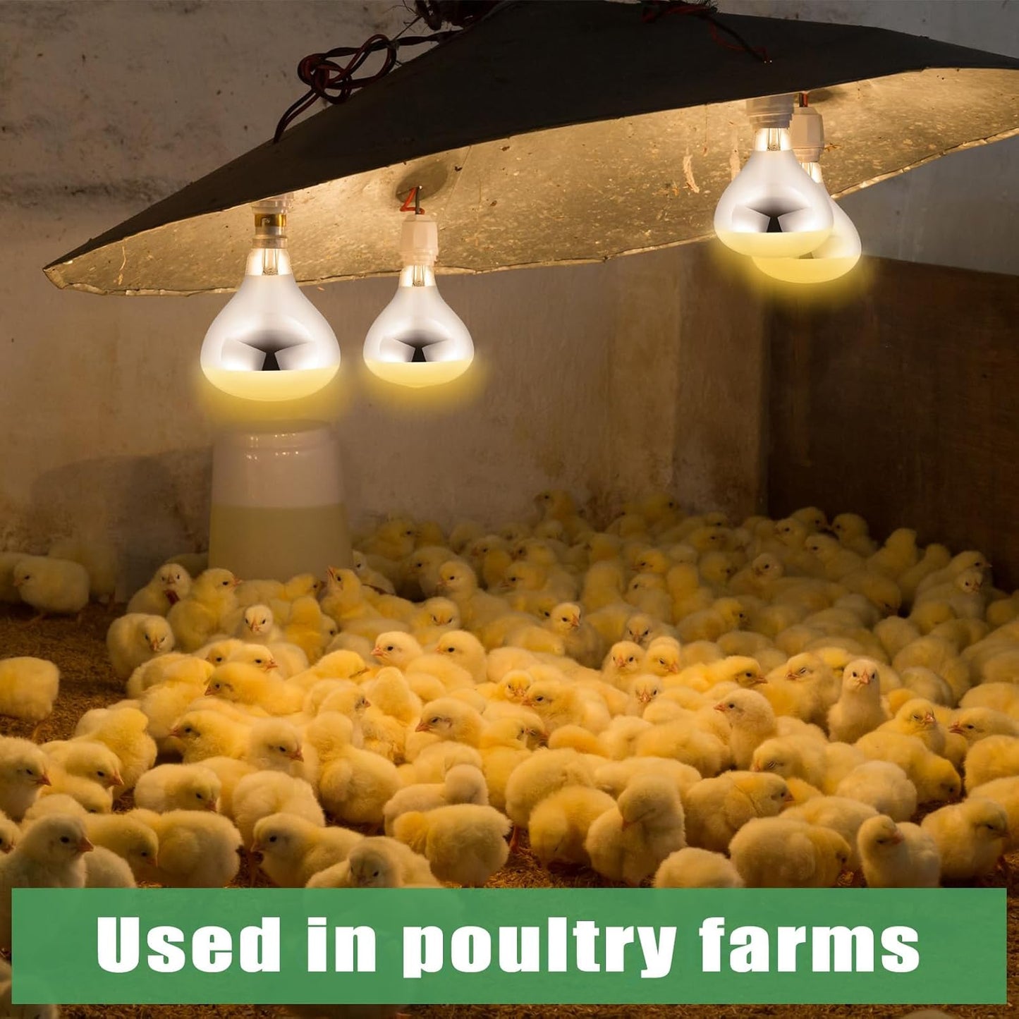 VIHOSE 12 Pack 250 Watt Heat Lamp 120v R40 Heat Lamp Bulbs Glass Incandescent Light Bulbs Incandescent Heating Lightbulbs for Reptiles Chicks Food Puppies Bathroom, Use E26 Base (Silver)