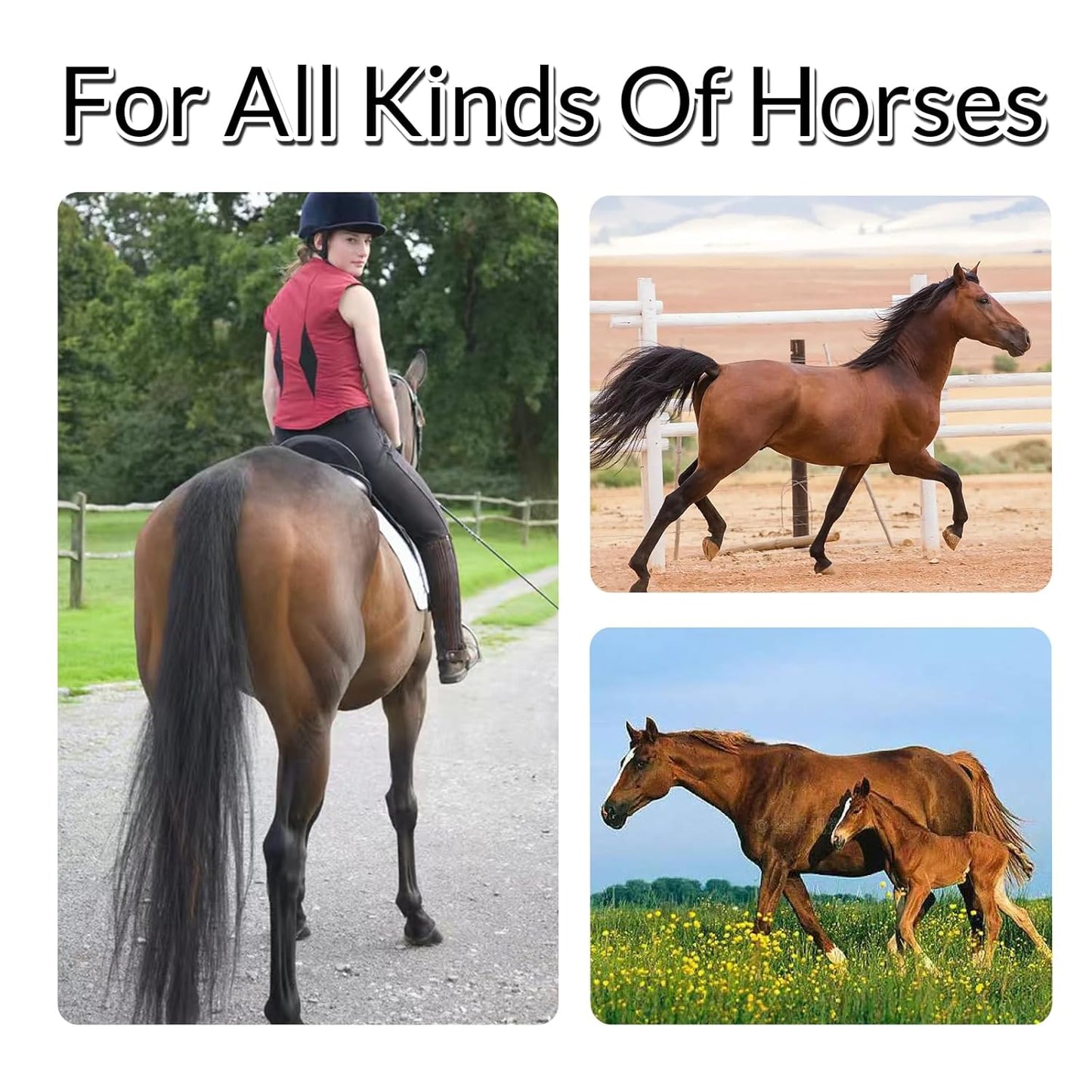 Horse Tail Extension with Braided Horsehair Loop, Blunt Cut Bottom, 3/8 lb, 28-30 inches (Natural Black)