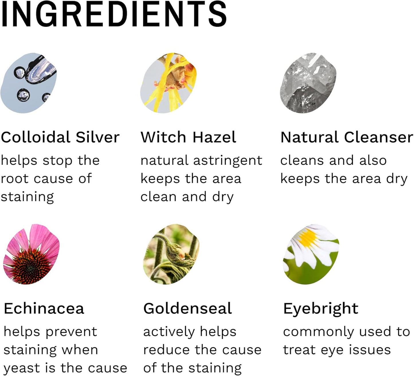 Eye Envy Dog Tear Stain Remover Starter Kit. 100% Natural, Safe. Contains: Stain Solution, Applicator Pads, and Stain Powder. Tear Stain Treatment Kit. Lasts 30-45 Days. Made in USA