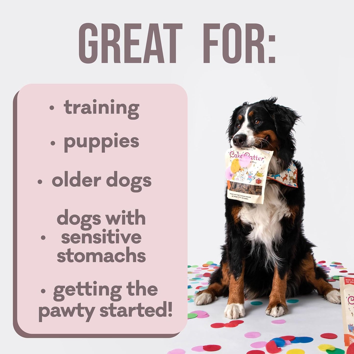 Polkadog Cake Batter Dog Treats – Soft & Chewy Premium Birthday Treats with Peanut Butter & Banana – Healthy, Limited Ingredient, Training Size for All Dog Breeds & Ages – Natural, Made in USA – 10 oz