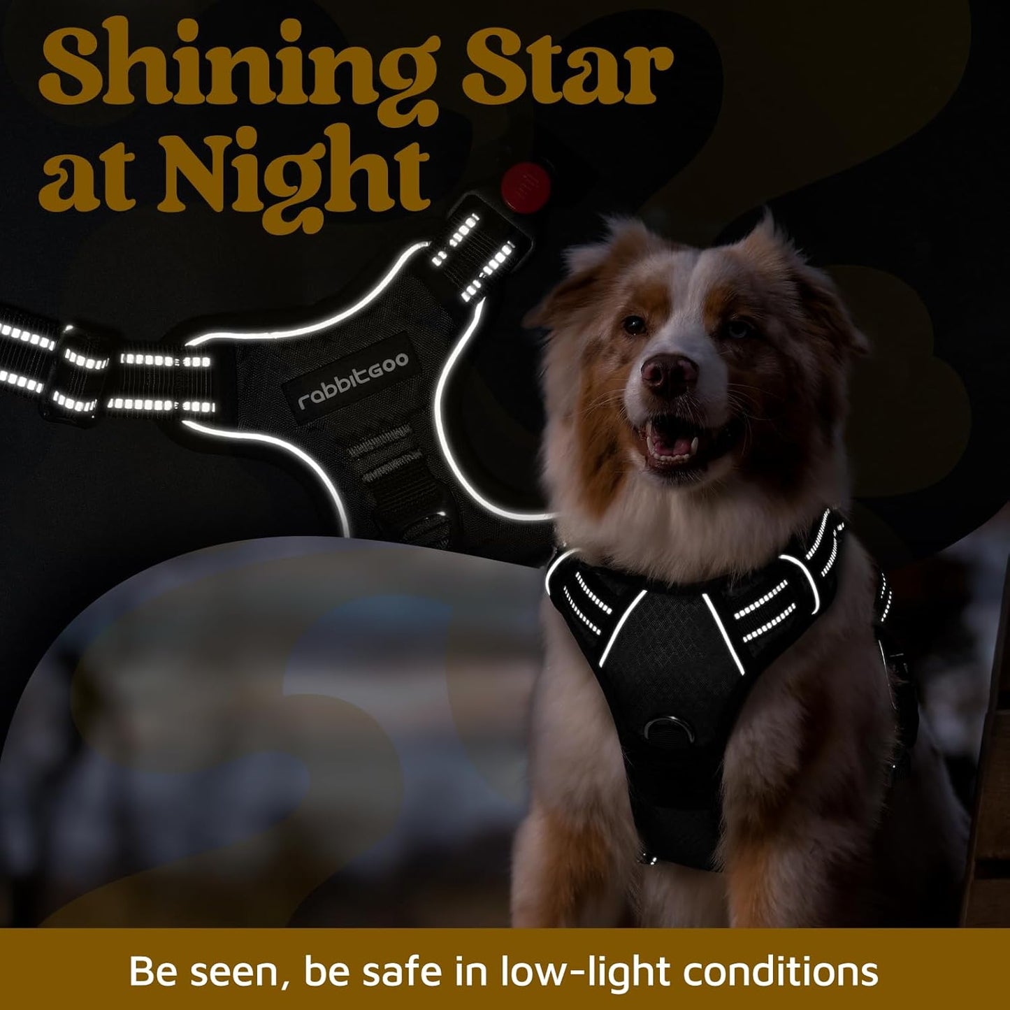 rabbitgoo Dog Harness Small Sized, No Pull Dog Vest with 3 Buckles, Adjustable Soft Padded Pet Harness with Easy Control Handle and Reflective Strips, Black, S