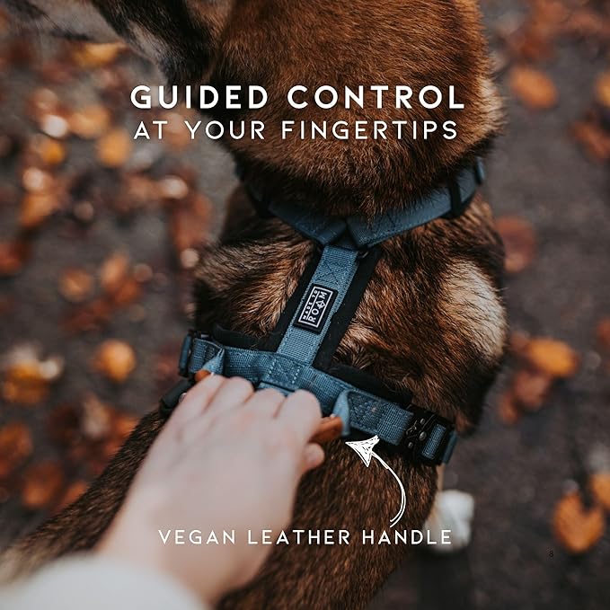 MADE TO ROAM Premium Explorer Harness - Y-Shaped Dog Harness with Adjustable Durable Nylon, Soft Padding, Metal Buckles and Leather Handle for Small, Medium, Large Dogs (Florida Seaside, Size 6)