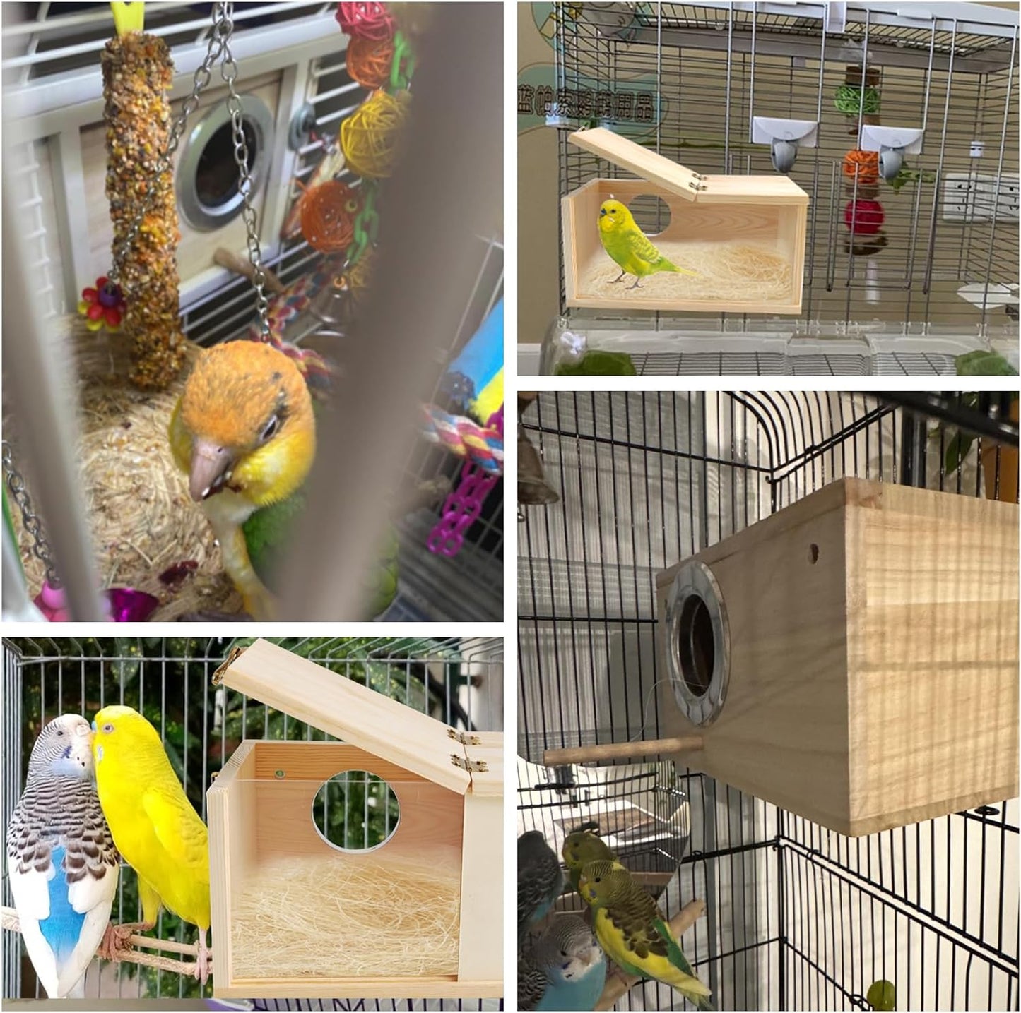 PINVNBY Acrylic Parakeet Nesting Box,Transparent Bird Breeding Box with Detachable Wooden Board Visual Cockatiel House for Budgie Lovebird Conure Parrot (S)