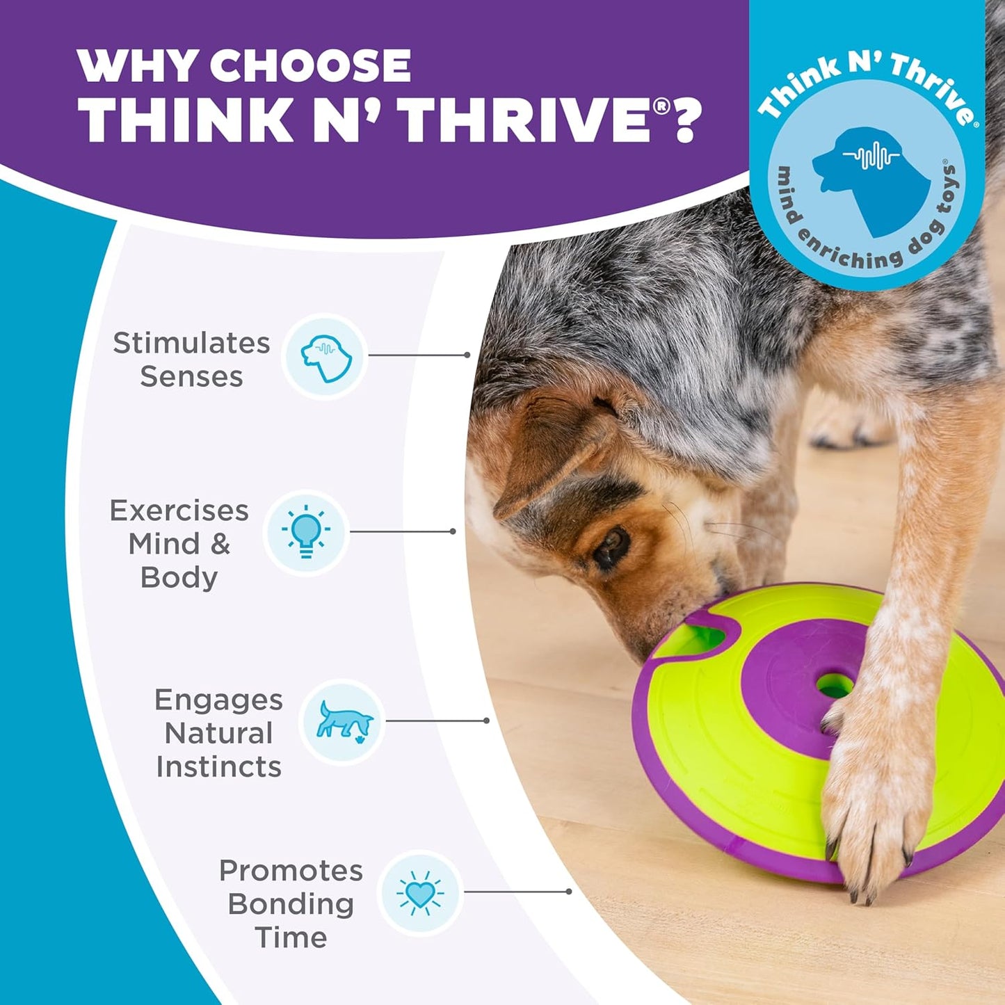 Outward Hound by Nina Ottosson Dog Treat Maze Dog Puzzle Enrichment Toy, Level 2 Intermediate, Green