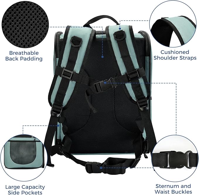 Apollo Walker Dog & Cat Carrier Backpack for 4-15lb Pets - Ventilated Safe Design with Padded Back Support, Breathable Mesh Pet Backpack for Hiking, Travel, Outdoor (Blue)