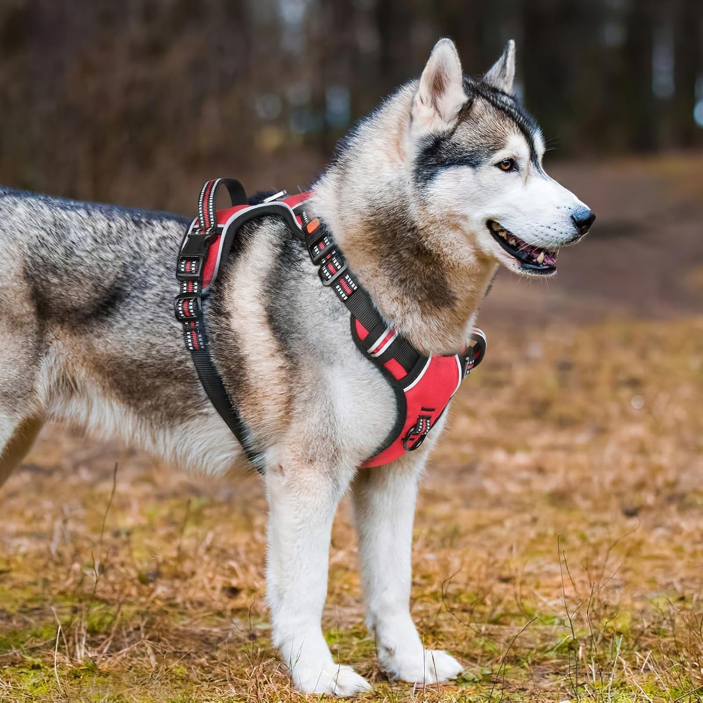 Timos Dog Harness Medium Sized, No Pull with Neck Lockable Snap,No Choke Front Clip Dog Reflective Harness,Adjustable Metal Rings 3 Buckles,Easy Control Handle for Medium Dogs Red M