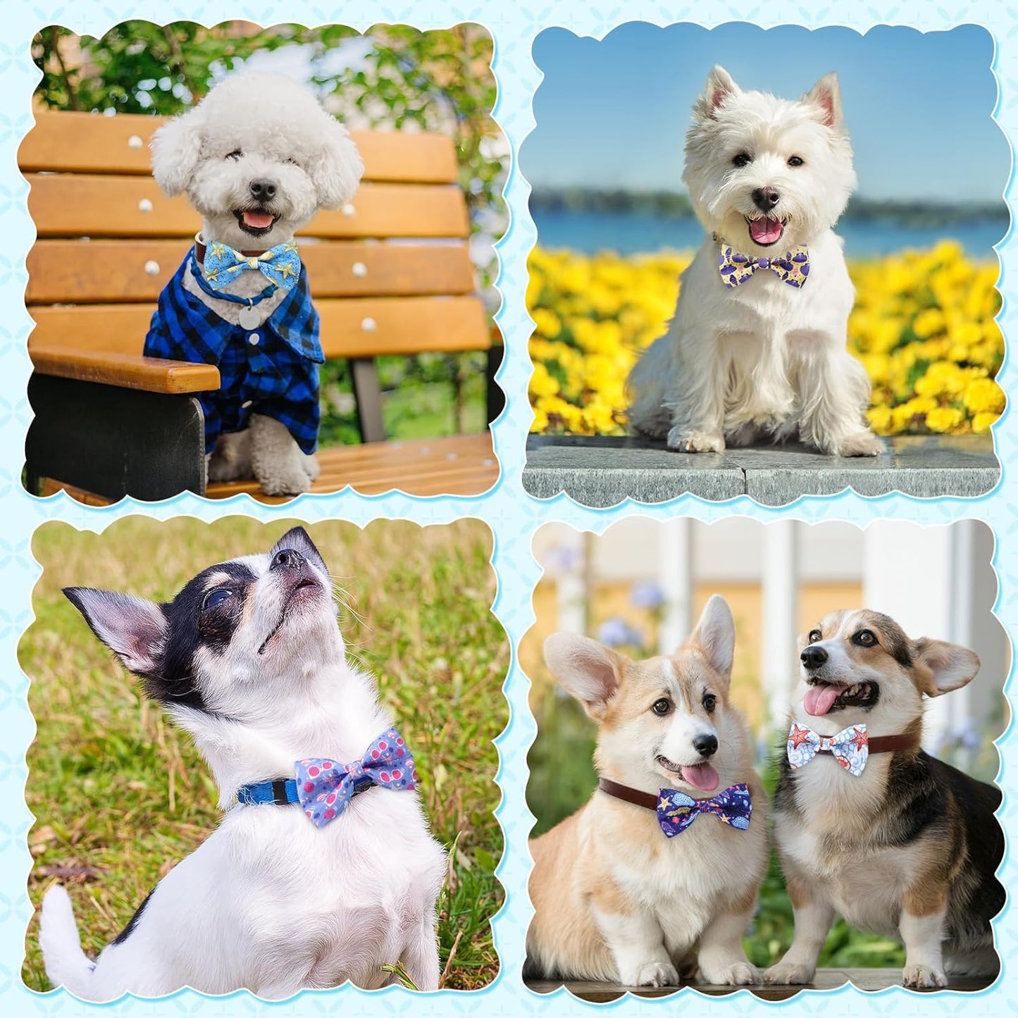 Reginary 50 Pieces Dog Bow Ties Pet Collar Bow Puppy Collar Attachment with Rubber Bands for Small Medium Cat Pet Grooming Charms Accessories Wedding Birthday Occasion(Sea Style)