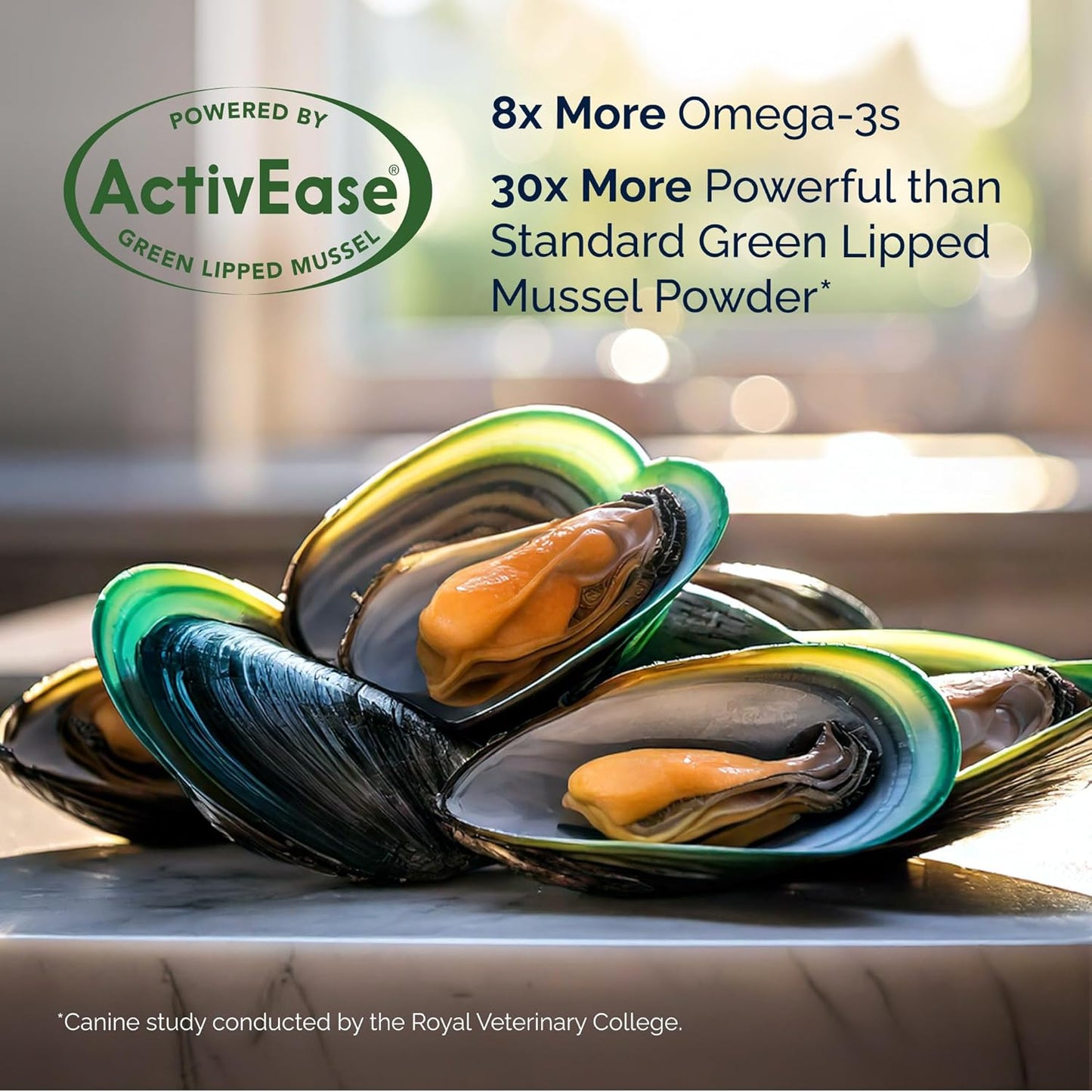 Yumove Hip & Joint Supplement for Dogs - with Glucosamine Chondroitin, Omega 3, Hyaluronic Acid, Green Lipped Mussel & Fish Oil for Dogs - Senior Dog Joint Supplement (240ct Chewable Tablets)