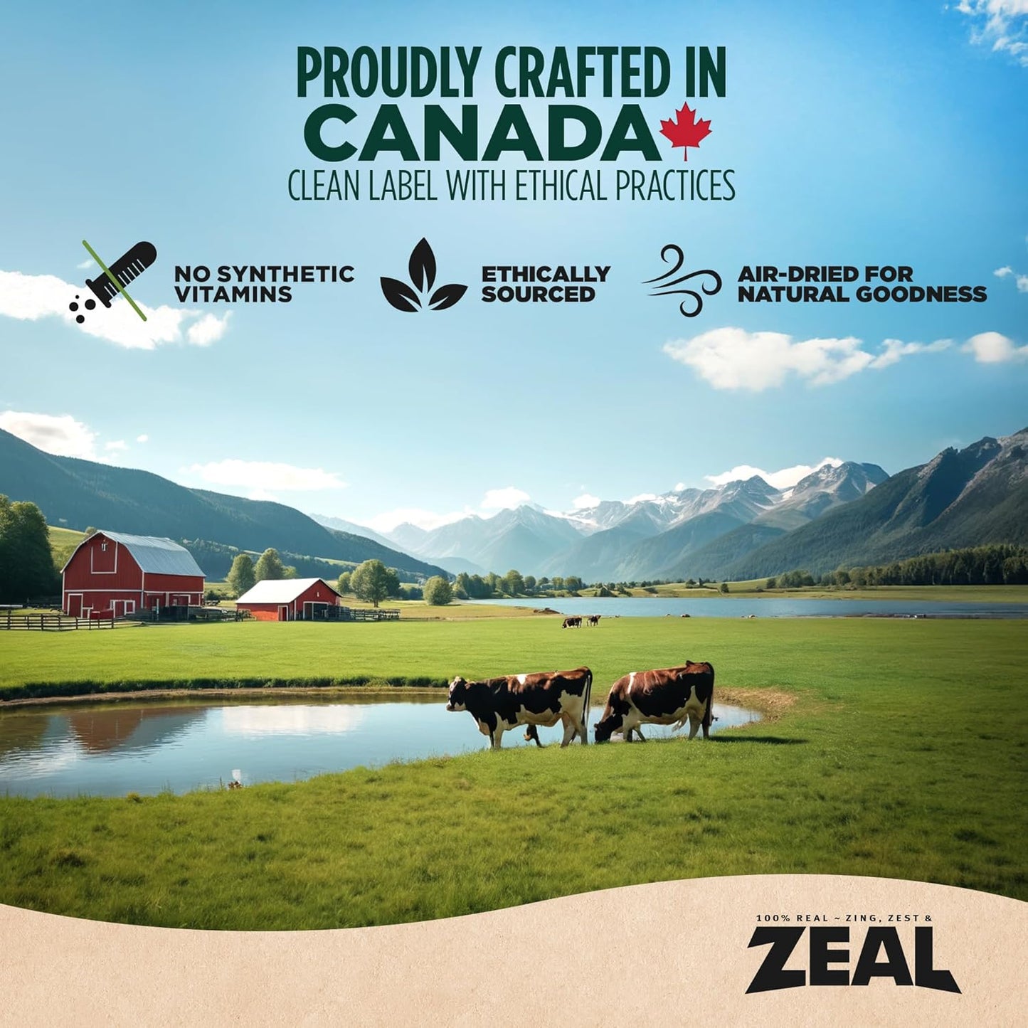 ZEAL Canada Air-Dried Beef Recipe for Dogs - High Protein, Natural Superfoods, Nutrient Rich, No Fillers, Grain Free, Complete & Balanced (Beef, 1 lb)