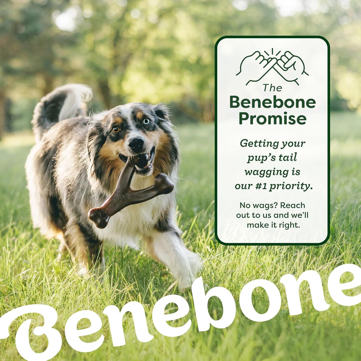 Benebone 2-Pack Bacon Wishbone/Rubber Bone Medium