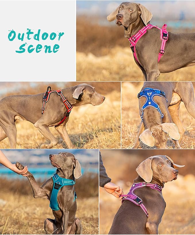 TRUE LOVE Dog Harness No Pull Nylon Reflective Pet Harness Adjustable Comfortable Control Step-in Brilliant Colors Truelove TLH56512 Orange