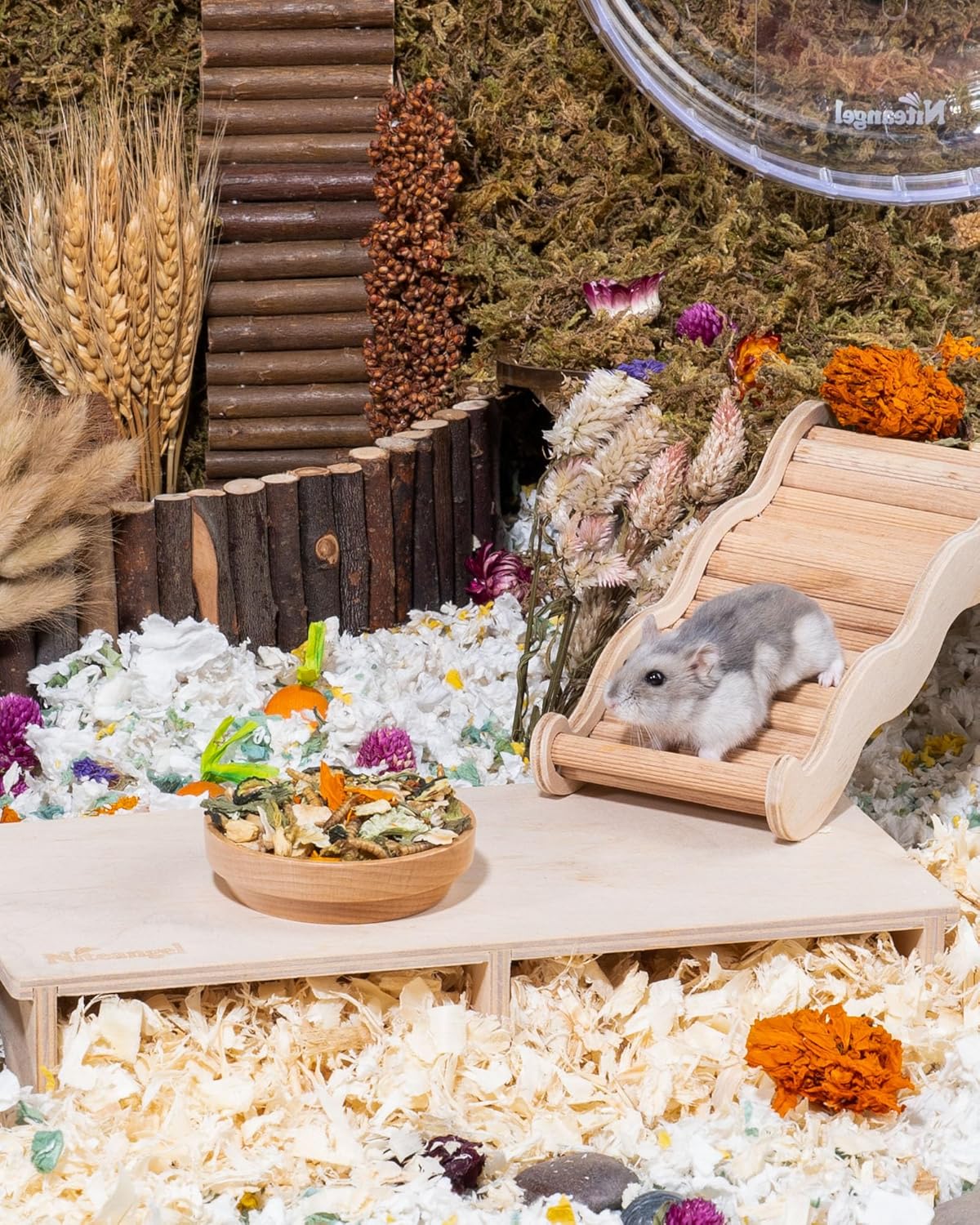 Niteangel Hamster Food & Treats Toy - Small Animal Natural Food for Syrian Golden Dwarf Robo Hamsters or Other Small-Sized Pets