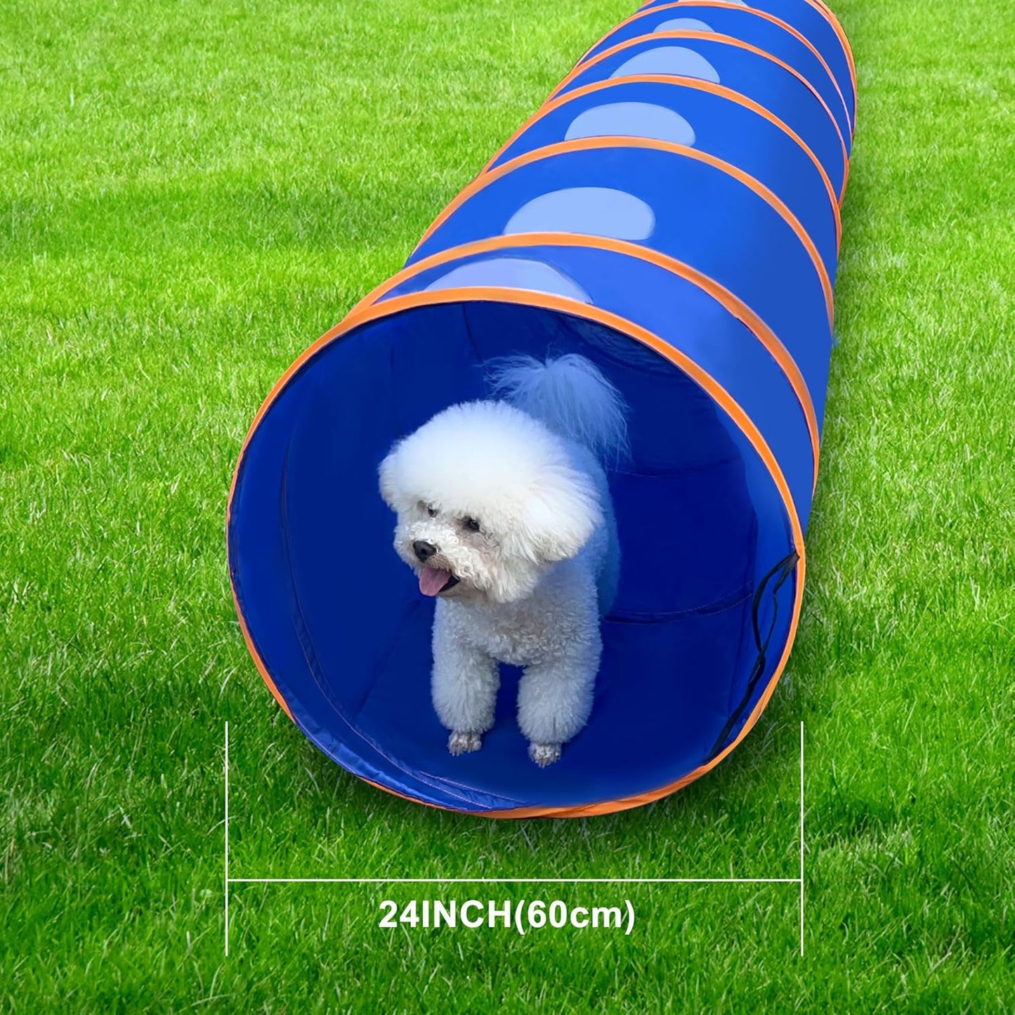 Dog Agility Tunnel with Ventilated mesh, Dog Agility Equipment, Dog Agility Training with Carry Bag (Blue+Orange)