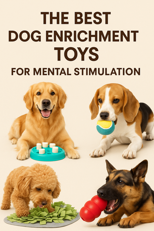 The Best Dog Enrichment Toys for Mental Stimulation