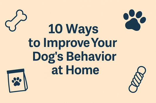 10 Ways to Improve Your Dog’s Behavior at Home