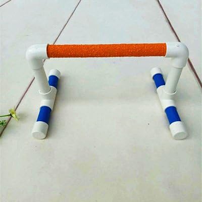 Hypeety Small Bird Parrot Stand Perch Table Top Stand Playground Grind Perch Swing Training Playstand Exercise Chew Toys for Budgies Parakeet Cockatiel Conure Finch (Perch, L)