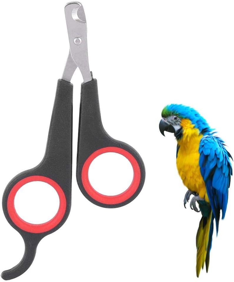 Bird Nail Clipper Grooming Tool Nail Scissors Clipper Pet Bird Parrot Small Animals Accessory for Small Parrot Birds
