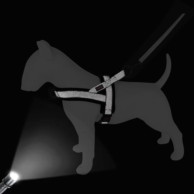 Didog No Pull Dog Harness with Breathable Mesh Padded, Full Reflective & Quick Fit Adjustable Vest Harness, Easy for Training Walking for Small & Medium and Large Dogs (Black, L:Chest 26-32")