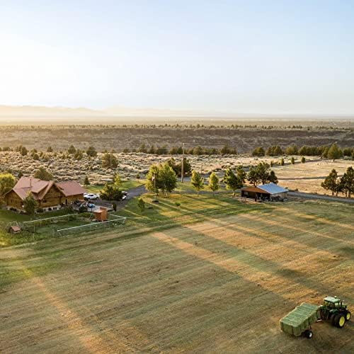 Blue Mountain Hay | Fresh Organic Oat Hay (15 Ounce) | Good for Sensitive Digestion | High-Altitude Hay Pet Food for Rabbits, Guinea Pigs, Chinchillas, Hamsters, and Other Small Pets