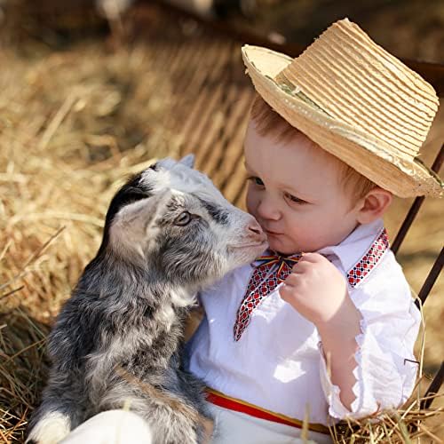 Blue Mountain Hay | Fresh Alfalfa Hay (15 Ounce) | High Leaf Retention | Nutritious High-Altitude Hay Pet Food for Rabbits, Guinea Pigs, Chinchillas, Hamsters, and Other Small Pets