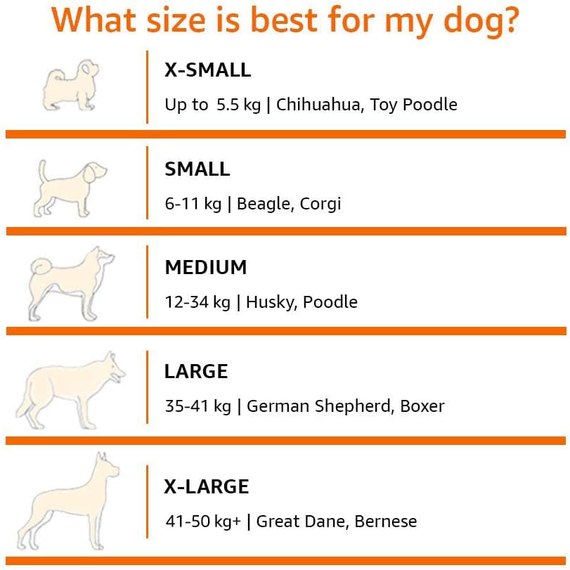 Amazon Basics Cooling Breathable Elevated Dog Bed with Metal Frame for Small Dogs, 36 x 22 x 7.5 Inch, Green