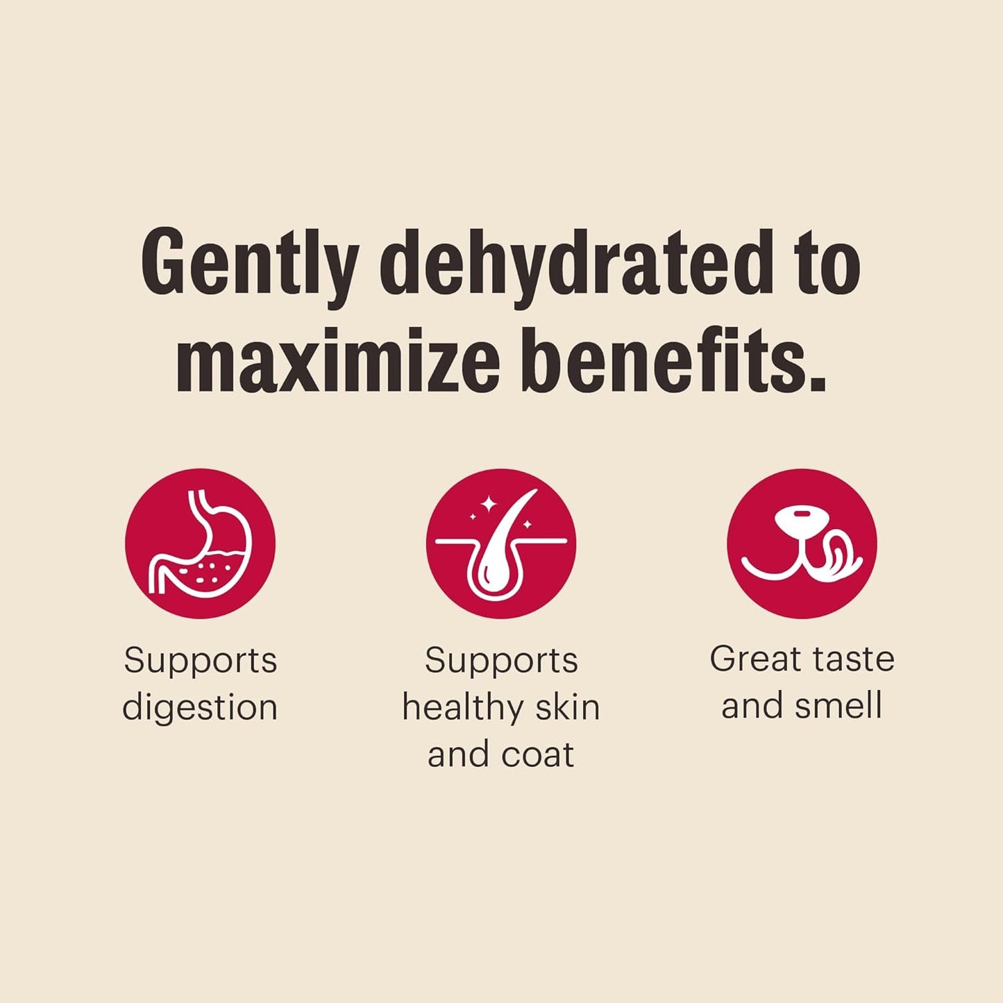 The Honest Kitchen Wholemade™ Grain Free Turkey Dog Food, 7 lb Box