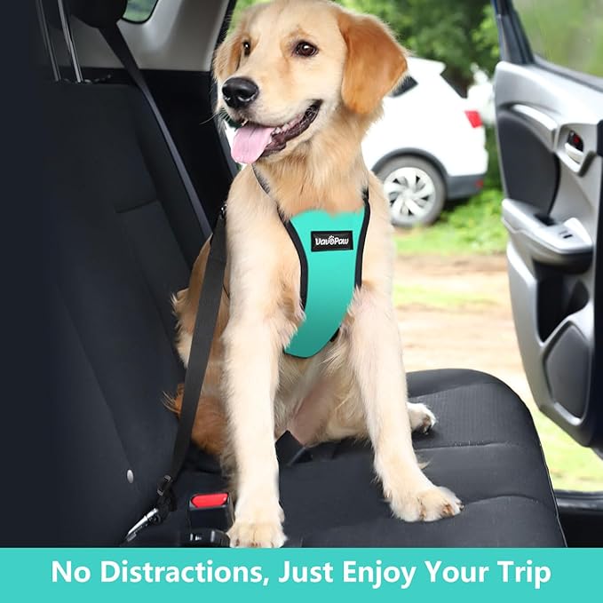 Dog Seat Belt, Safety Vest Dog Car Harness with Adjustable Buckle Dog Seat Belt for Vehicle Nylon Pet Safety Seat Belts Heavy Duty(XXL, Blue)