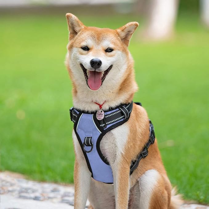 PoyPet No Pull Dog Harness, Reflective Comfortable Vest Harness with Front & Back 2 Leash Attachments and Easy Control Handle Adjustable Soft Padded Pet Vest for Small to Large Dogs (Light Blue,S)